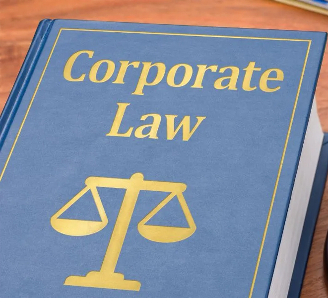 Corporate Law Practice Services